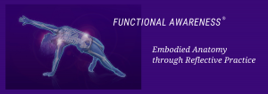 Functional Awareness: Embodied Anatomy through Reflective Practice